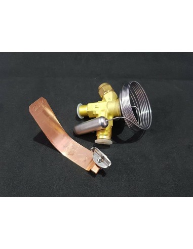 شیر انبساط دانفوس مدل TEX2 با MOP -20C