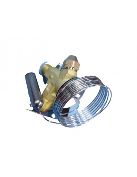 شیر انبساط دانفوس مدل TES2