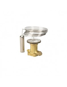 شیر انبساط دانفوس مدل TES20...