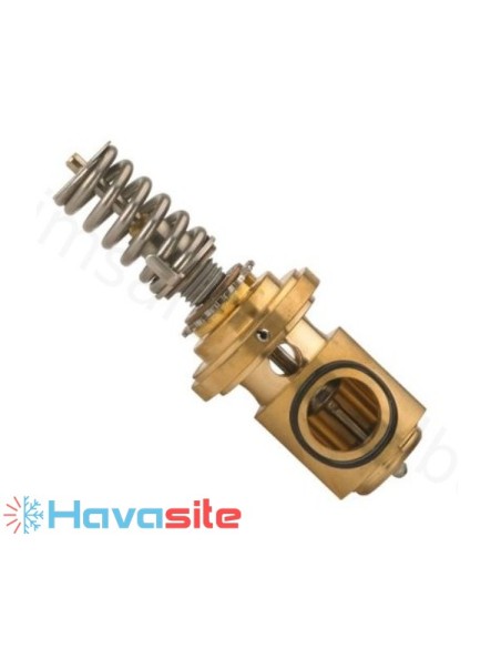 سوزن اکسپنشن بدنه دانفوس مدل  TE55- Orifice 10