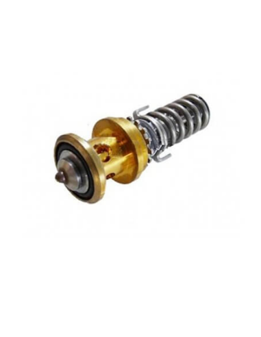 سوزن اکسپنشن بدنه دانفوس مدل  TE55-...