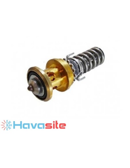 سوزن اکسپنشن بدنه دانفوس مدل  TE55- Orifice 10